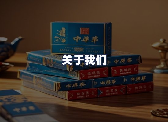 关于我们